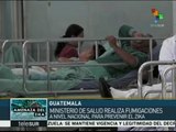Guatemala: continúan esfuerzos sanitarios para contener virus zika