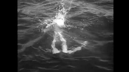 베네시안카지노っ＼＼【KOP77。COM】＼＼じ달팽이게임알라딘게임