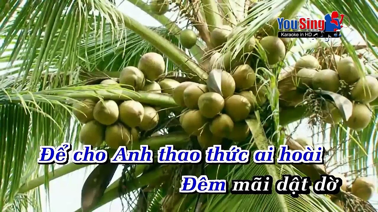 Câu Hát Tình Quê_Ngọc Vũ & Chế Thiện-Karaoke