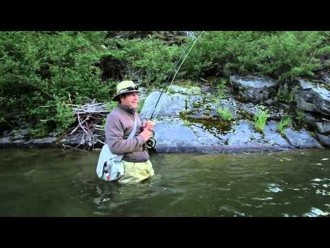 King of the River - White House Pool