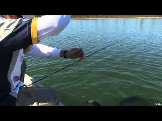 Maximum Limit Fishing - Spring Surprise