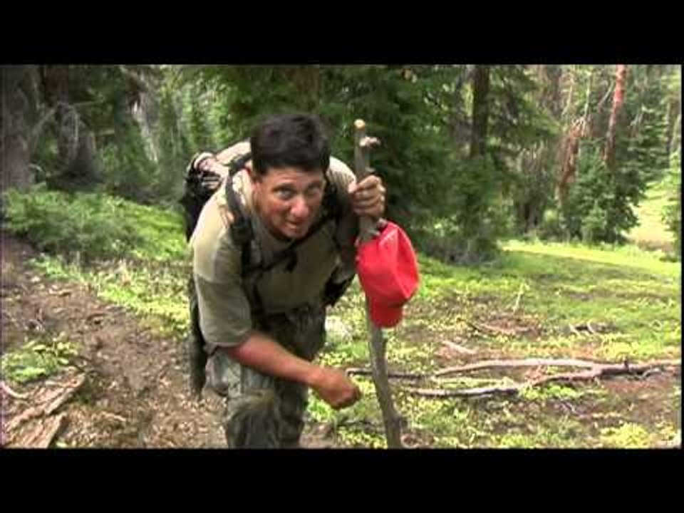 Realtree Outdoors - Big Horn Sheep