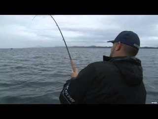 Sportfishing Adventures - Shearwater Resort