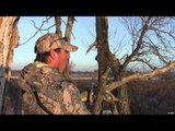 The Hunting Chronicles - North & South Whitetails