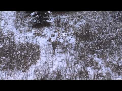 The Real Canadian Joes - Big Hucks & Dropping Bucks