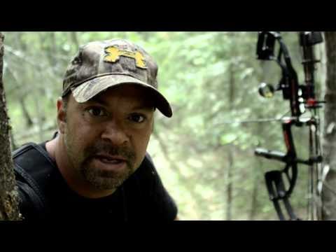 Primal Instinct - Bears of the North