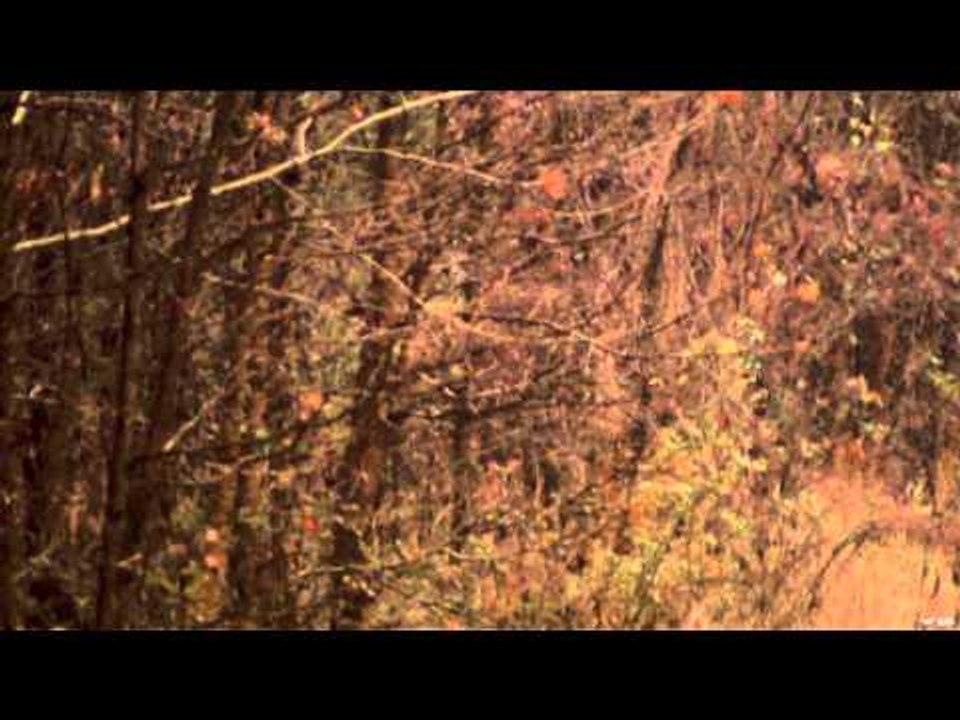 Primos - The Truth About Hunting - Team Primos Hunts Deer in Mississippi