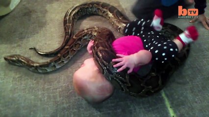 Warrior amazing baby kid happy playing with danger snake