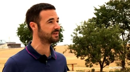 Bio / classique : Une complémentarité - L'echo de l'agriculture
