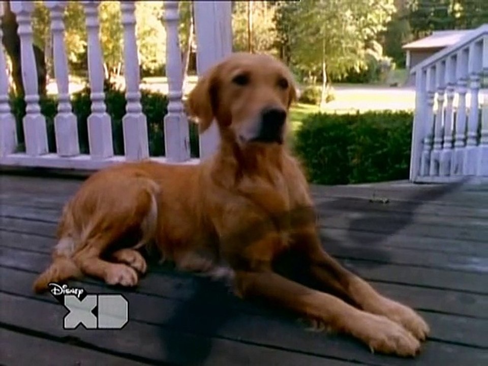 Gänsehaut S02E27 Noch mehr Monsterblut