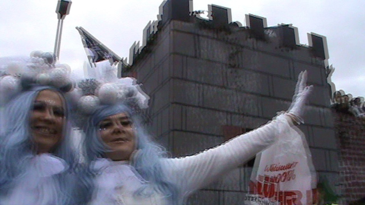 Diebach Faschingszug 09.02.2016 mit Hubert und Matthias Gruppe Weintrauben (5)