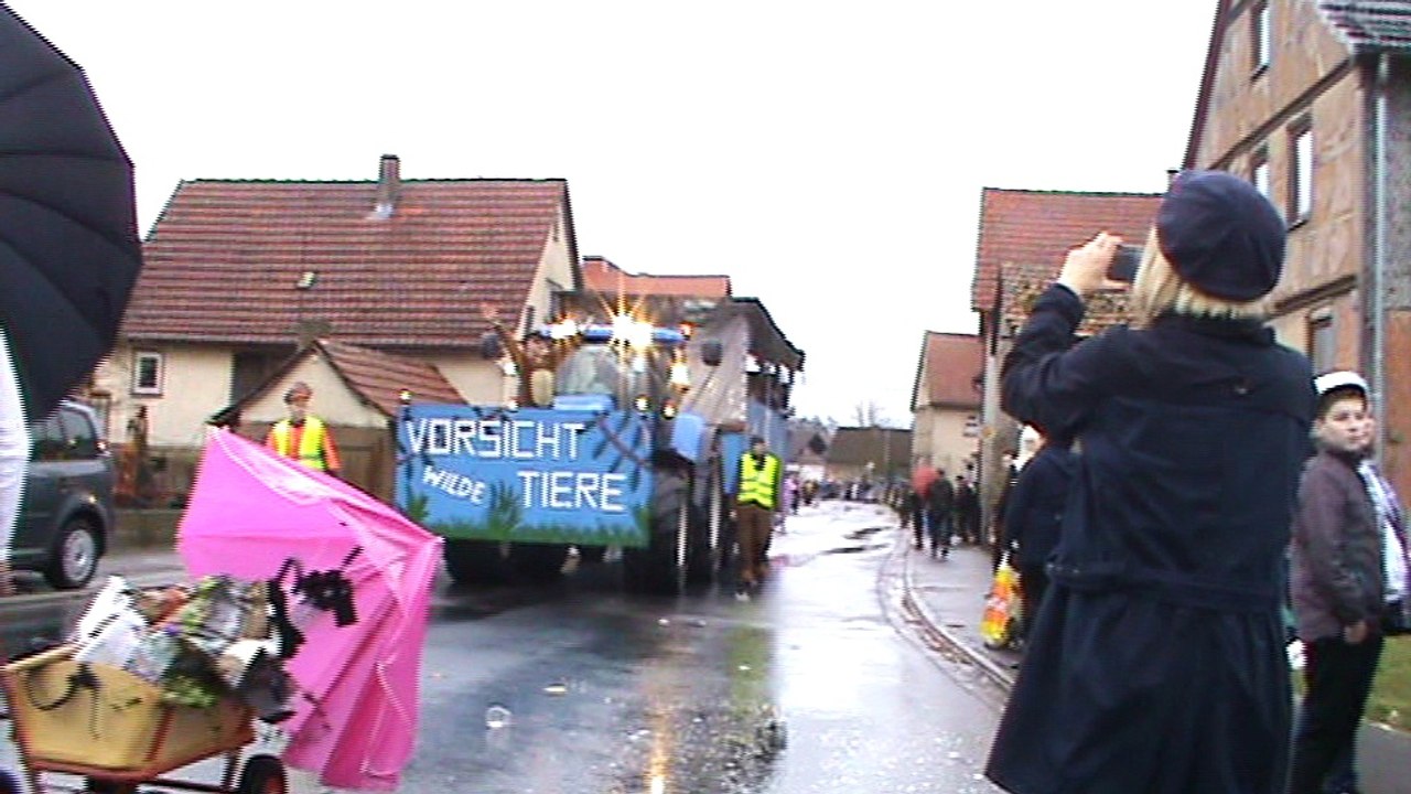 Diebach Faschingszug 09.02.2016 mit Hubert und Matthias Gruppe Weintrauben (7)