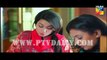 Sehra Main Safar  » Hum Tv  » Episode	8	» 12th February 2016 » Pakistani Drama Serial