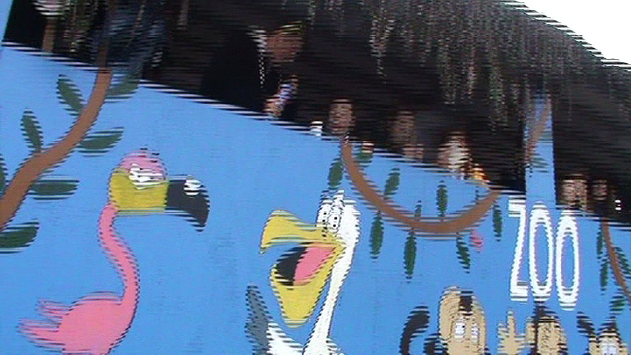 Diebach Faschingszug 09.02.2016 mit Hubert und Matthias Gruppe Weintrauben (8)