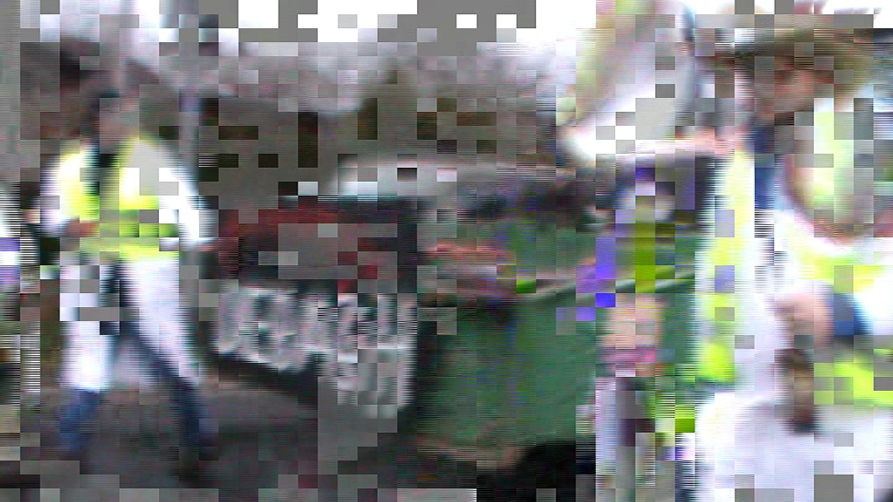 Diebach Faschingszug 09.02.2016 mit Hubert und Matthias Gruppe Weintrauben (12)