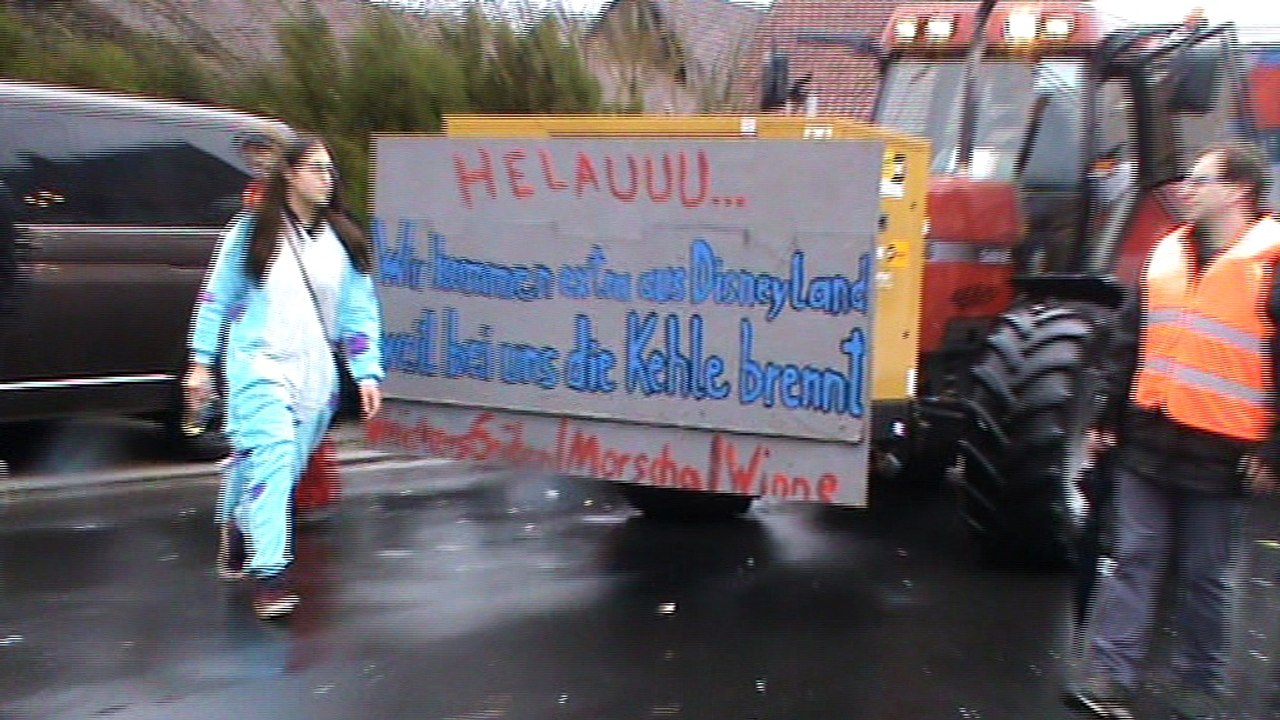 Diebach Faschingszug 09.02.2016 mit Hubert und Matthias Gruppe Weintrauben (14)