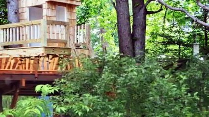 Дом на дереве – это престижно!