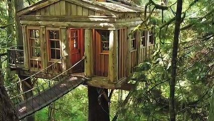 Домик на дереве