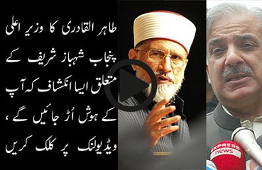Tahir ul Qadri Challanged to Shahbaz Sharif
