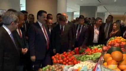 Çelik: "Rusya ile Uçak Kriziyle Meydana Gelen Sorunlarla Karşı Karşıyayız"