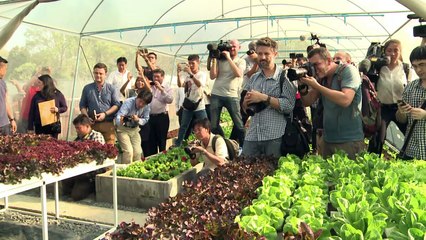 Ex-premier Yingluck takes Thai politics to the garden