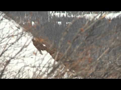 Steve's Outdoor Adventures - Alaska Adventure Series Part Three