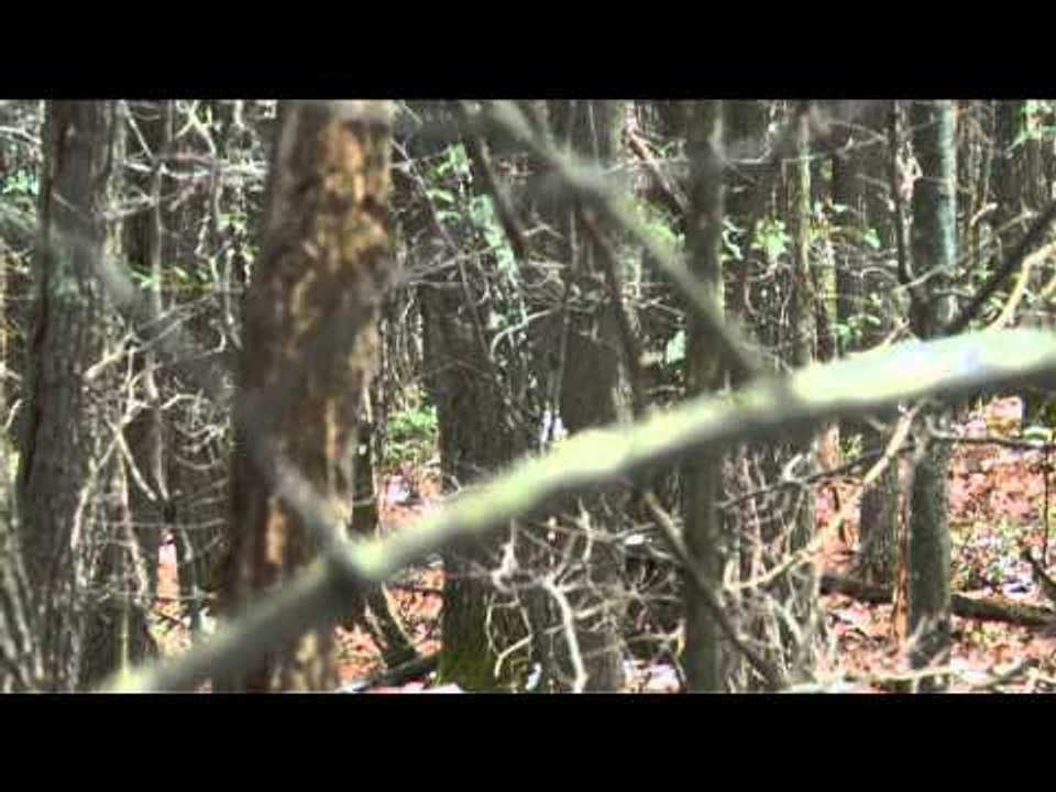 Outdoor Edge Love of the Hunt  - Pennsylvania Whitetail Deer