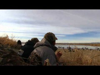 The Fowl Life - Colorado Cajuns