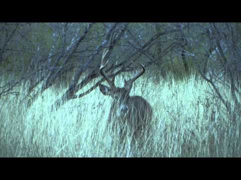 Hardcore Pursuit - Texas Bow Bucks
