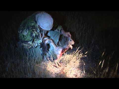 Relentless Pursuit - African Shadow