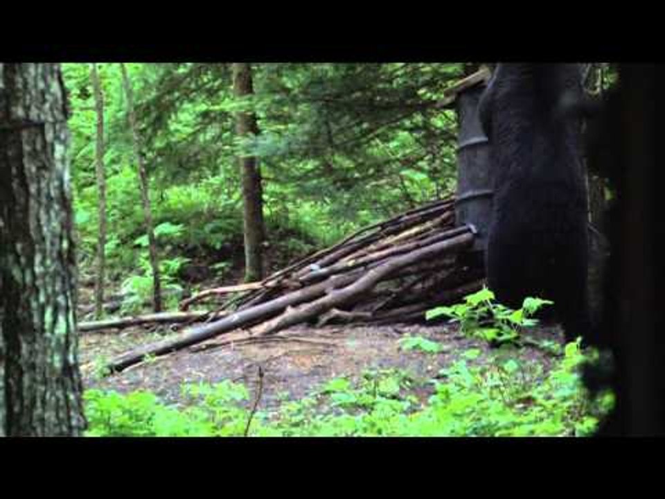 Hitmen Canada - Bears Bears Bears