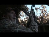 Mojo TV - Habitat Flats, Revolving Doors on the Duck Blinds