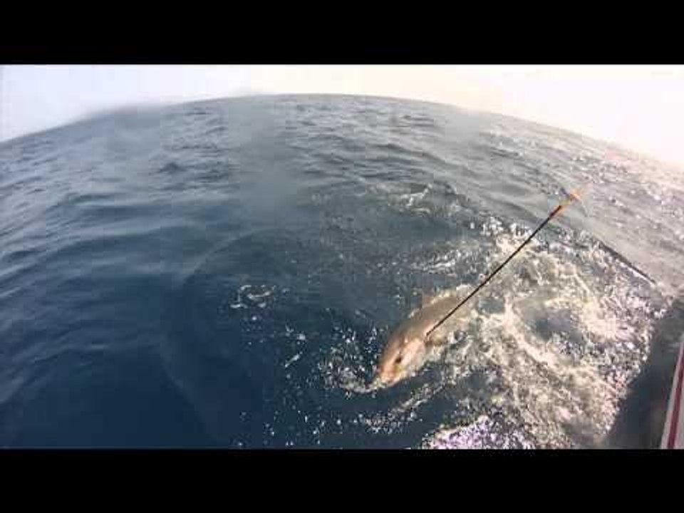 Relentless Pursuit  - Deep Blue