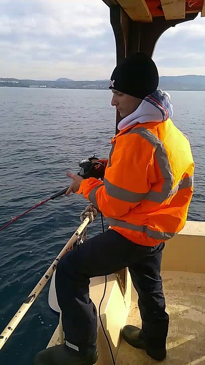 CANLI YEMLE SİNARİT AVI