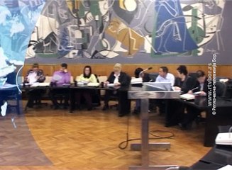 Vesti na vlaškom jeziku, 12. februar 2016. (RTV Bor)