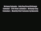 Read Brittany Calendar - Only Dog Breed Brittanys Calendar - 2016 Wall calendars - Brittanys
