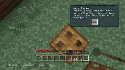 Minecraft: PlayStation®4 Edition_20160212112707