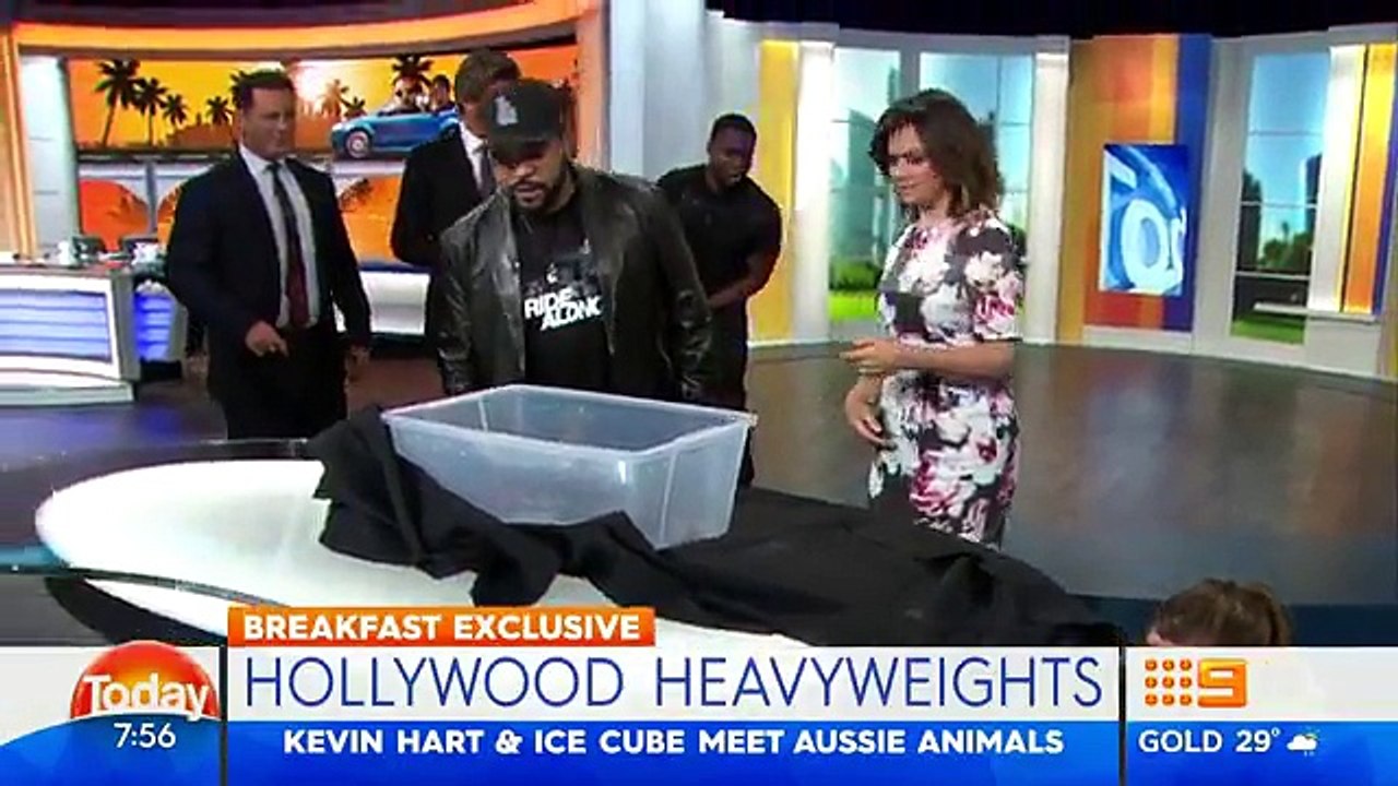 Kevin Hart and Ice Cube meet an Aussie python... LOL!
