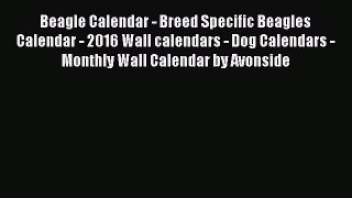 Read Beagle Calendar - Breed Specific Beagles Calendar - 2016 Wall calendars - Dog Calendars