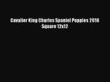 Download Cavalier King Charles Spaniel Puppies 2016 Square 12x12 PDF Free