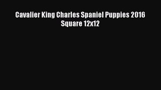 Download Cavalier King Charles Spaniel Puppies 2016 Square 12x12 PDF Free