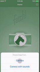 Microsoft introduces Fetch!