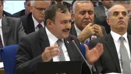 Eroğlu: 'Yeşil Yol'da, Ormanlık Alanda Kesilen Ağaç Sayısının Sadece 13'tür'