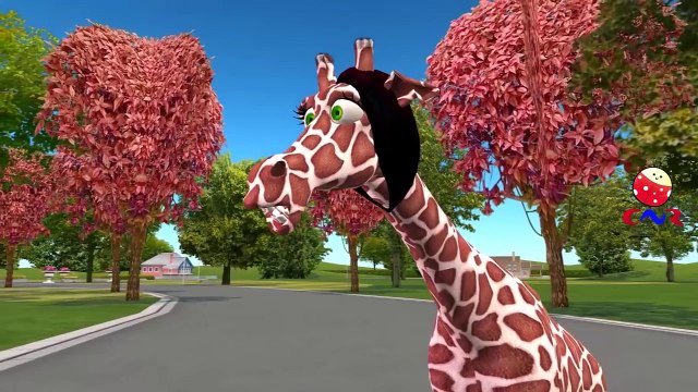 Finger Family Rhymes | Animals Cartoons for Children | Animal Children Nursery Rhymes Collection