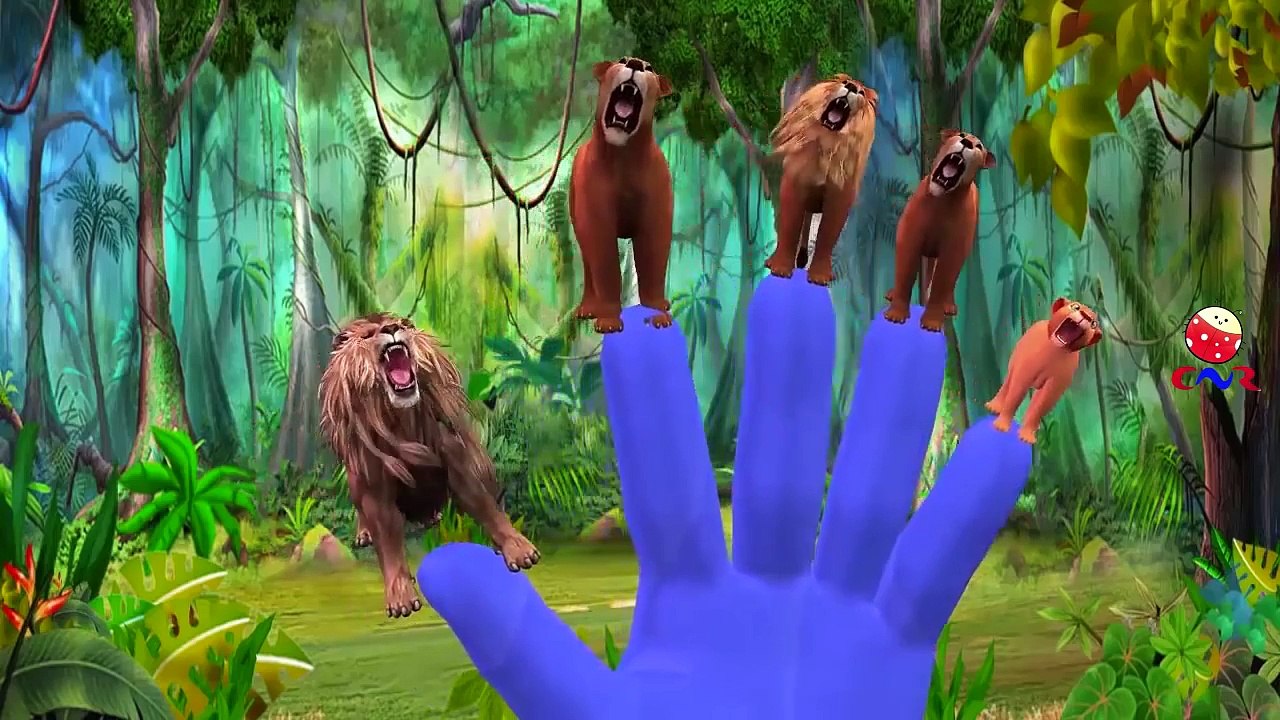 Animals Cartoons for Children Nursery Rhymes Collection | Finger Family And More Nursery Rhymes 3D
