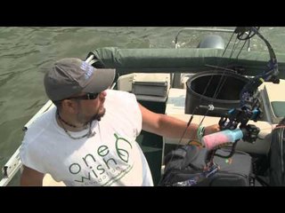 Innerloc's Out There - Stingers and Spurs