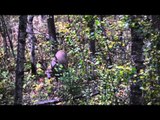 Dean Partridge's Canadian Whitetail - Try, Try Again