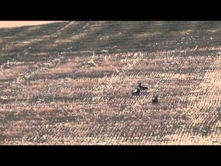 The Bone Yard - It's All About Me!