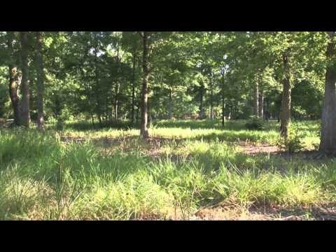 The Gamekeepers of Mossy Oak - Learning From the Best