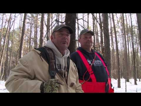 G3 Sportsman - Treeing Squirrels